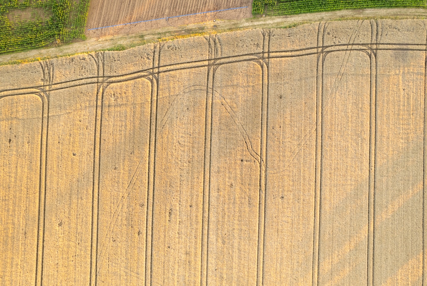 Landwirtschaftliche Nutzflächen aus der Vogelperspektive, durch einen Feldweg getrennt
